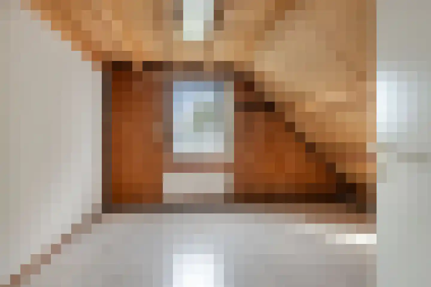 Van Gentswei 6 Arnhem thumbnail 34