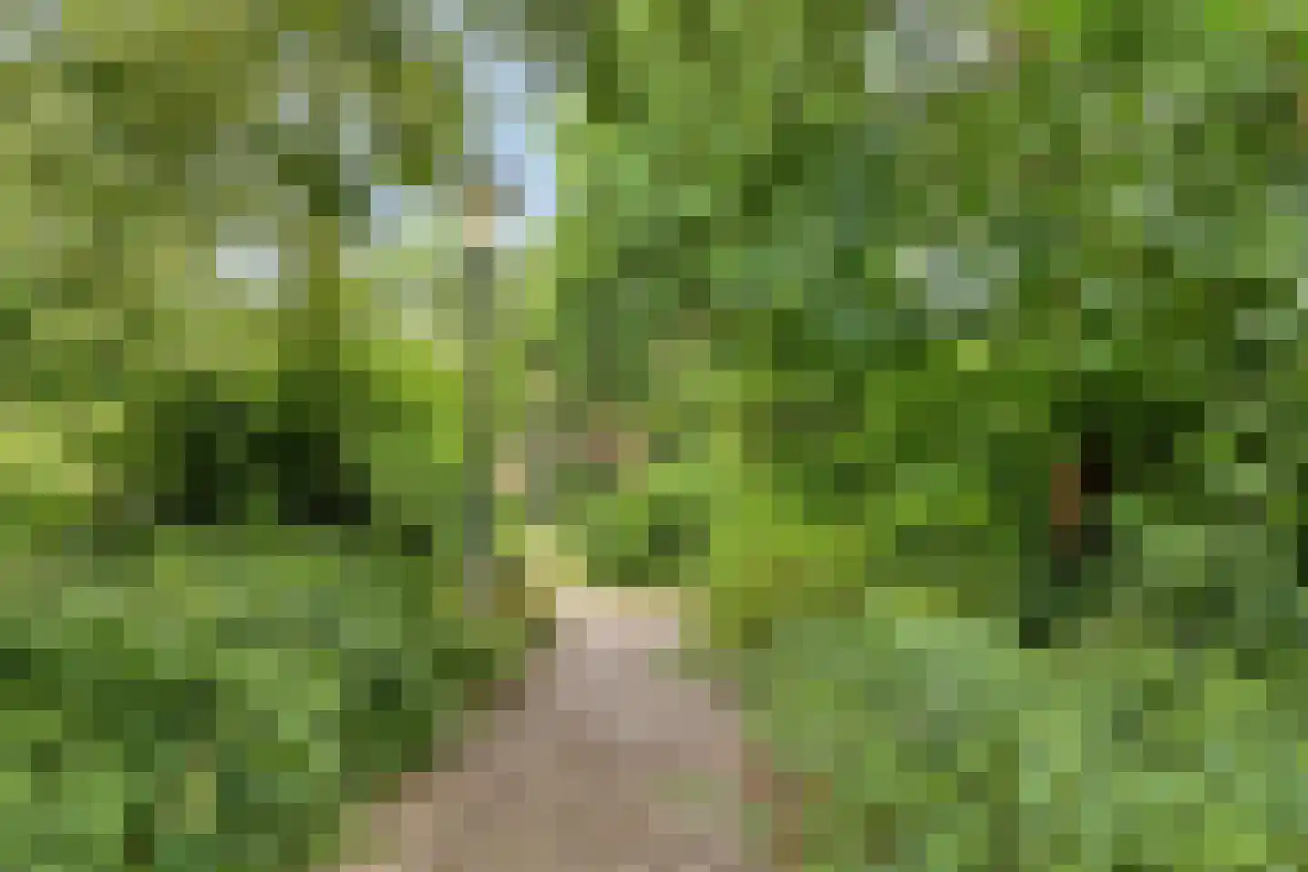 Van Gentswei 6 Arnhem thumbnail 37