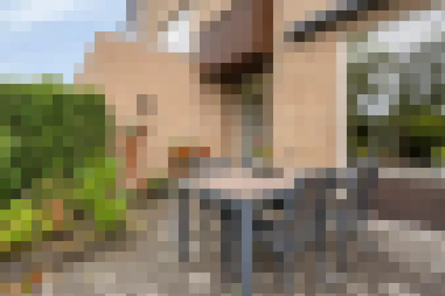 Van Gentswei 6 Arnhem thumbnail 8