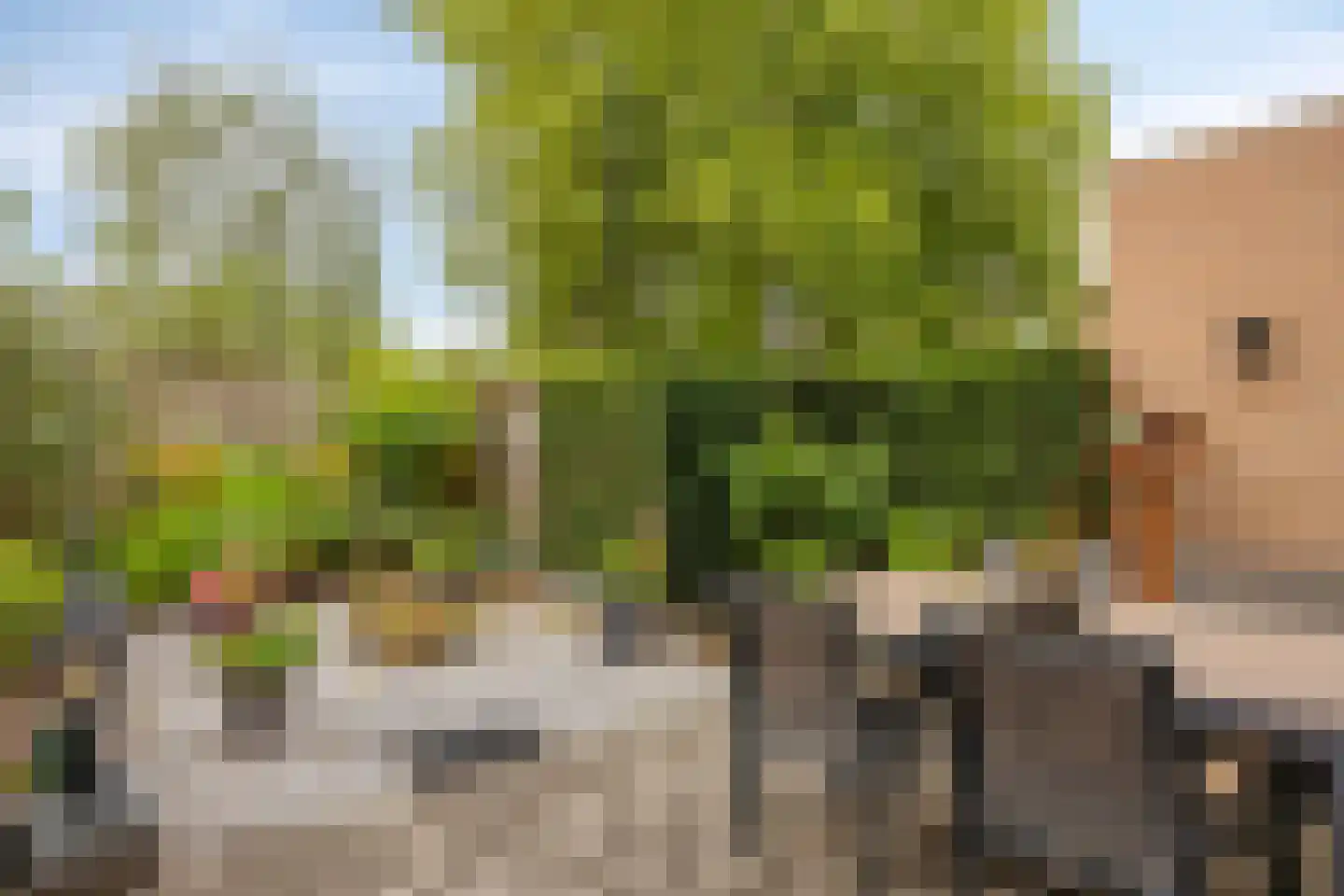 Van Gentswei 6 Arnhem thumbnail 9