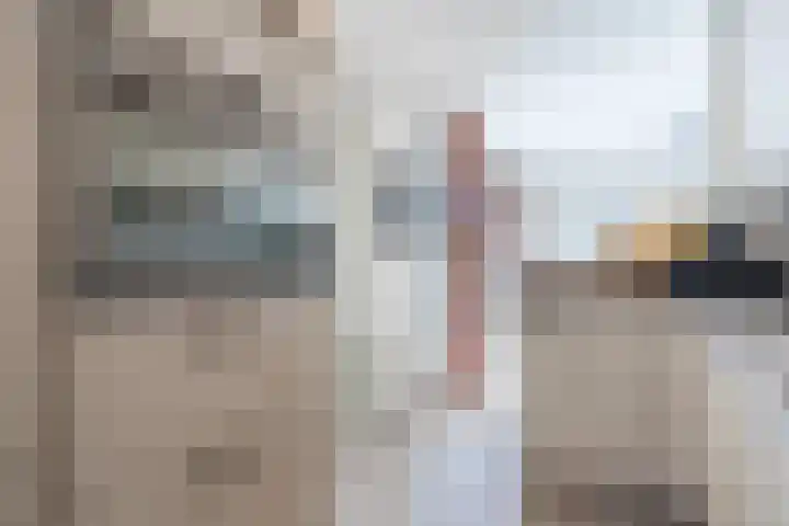 van Gerrevinkstraat 3 Wapenveld thumbnail 13