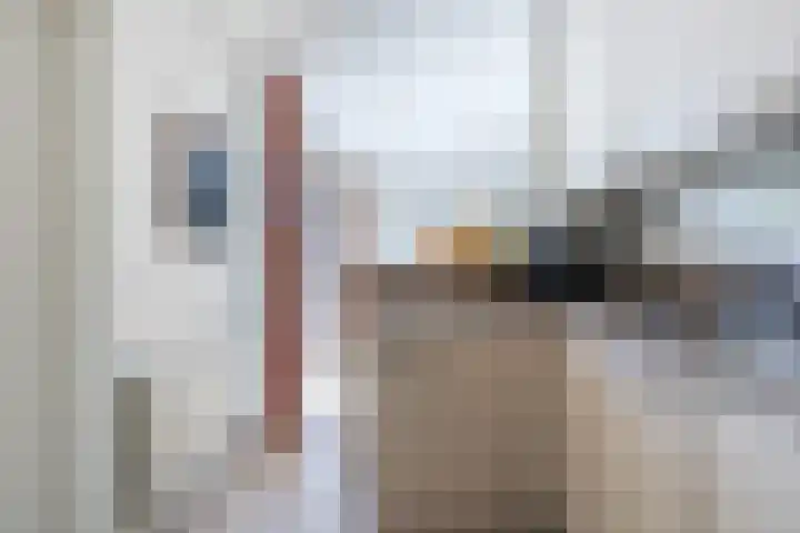 van Gerrevinkstraat 3 Wapenveld thumbnail 14