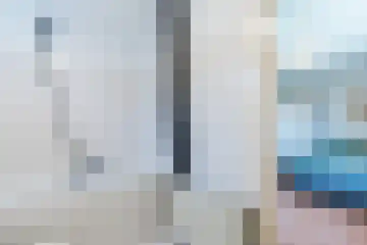 van Gerrevinkstraat 3 Wapenveld thumbnail 18