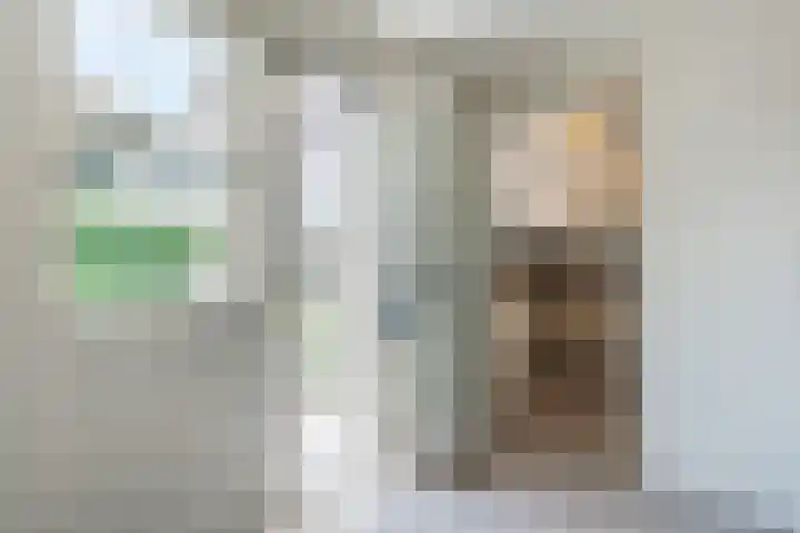 van Gerrevinkstraat 3 Wapenveld thumbnail 20