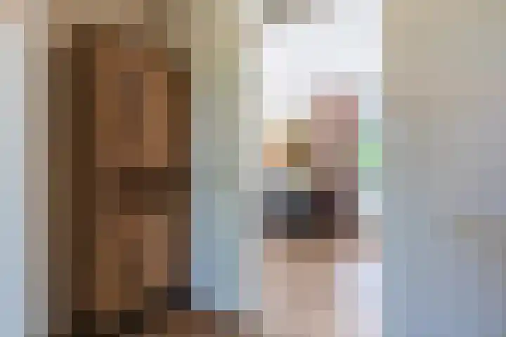 van Gerrevinkstraat 3 Wapenveld thumbnail 21