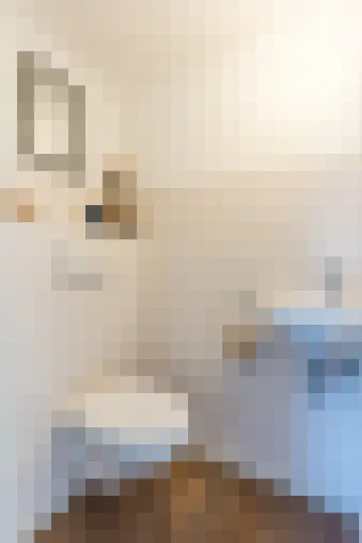 van Gerrevinkstraat 3 Wapenveld thumbnail 25