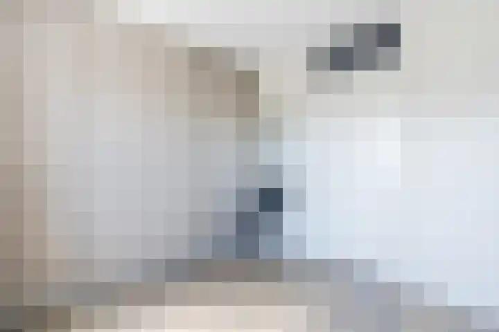 van Gerrevinkstraat 3 Wapenveld thumbnail 30