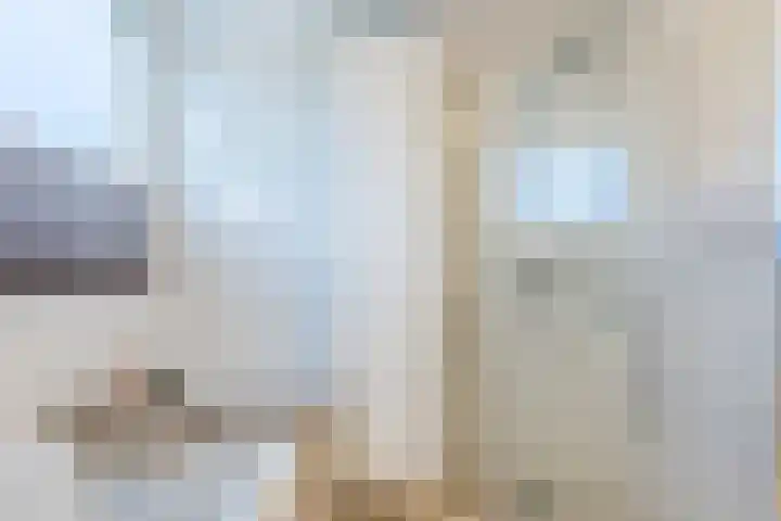 van Gerrevinkstraat 3 Wapenveld thumbnail 39