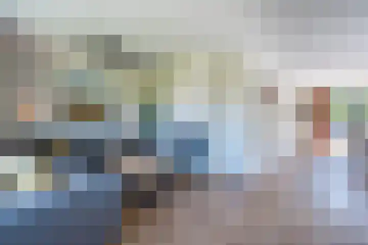 van Gerrevinkstraat 3 Wapenveld thumbnail 4