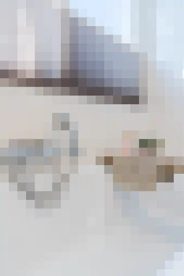 van Gerrevinkstraat 3 Wapenveld thumbnail 42