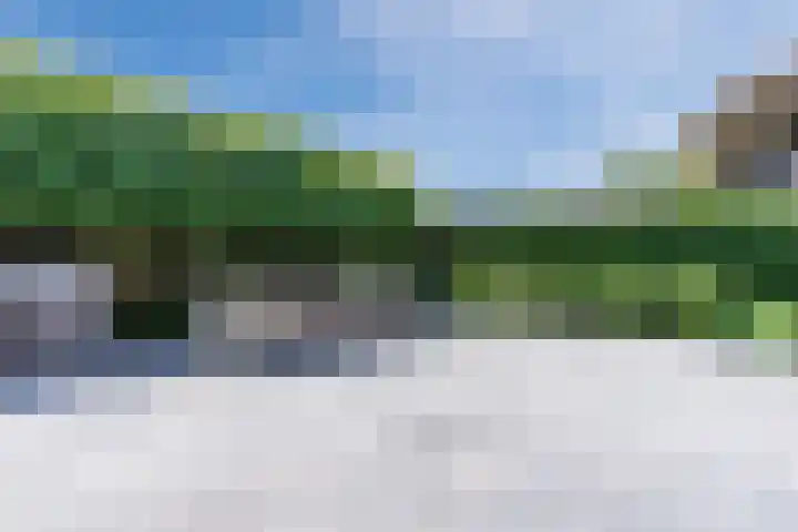 van Gerrevinkstraat 3 Wapenveld thumbnail 43