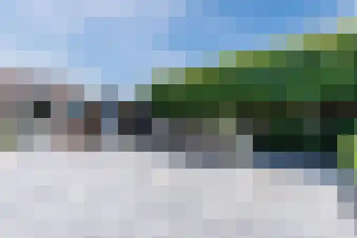 van Gerrevinkstraat 3 Wapenveld thumbnail 44