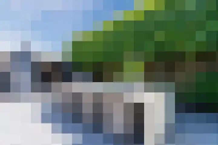 van Gerrevinkstraat 3 Wapenveld thumbnail 45
