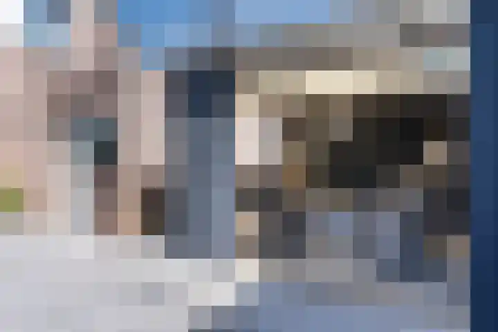 van Gerrevinkstraat 3 Wapenveld thumbnail 46