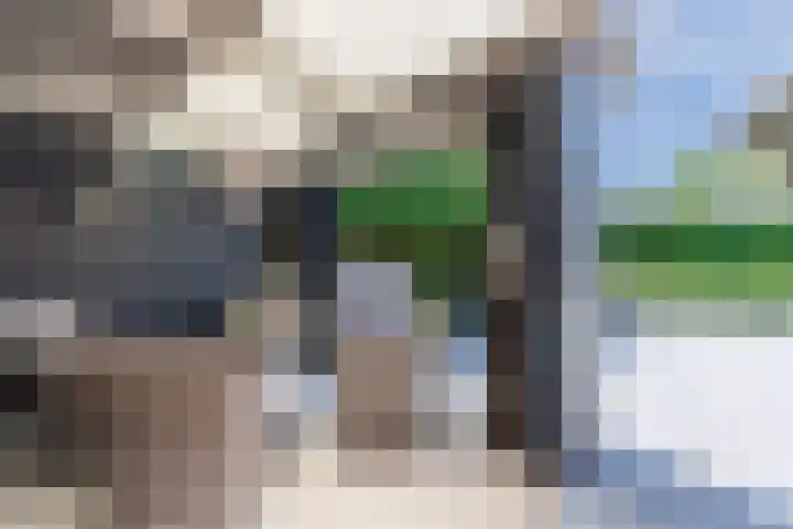 van Gerrevinkstraat 3 Wapenveld thumbnail 47