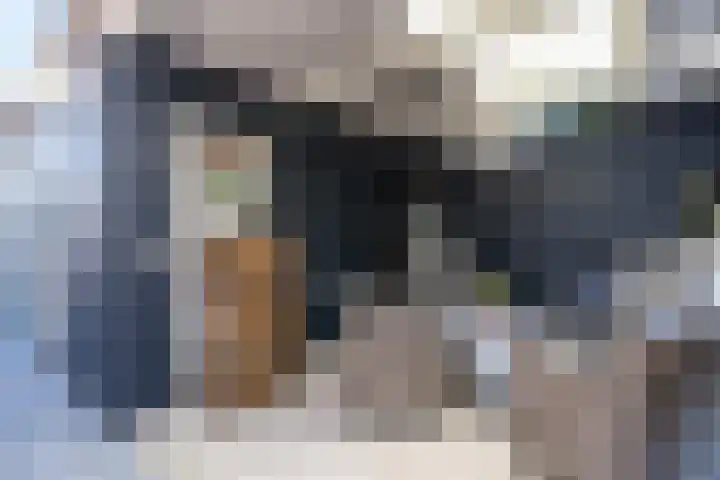 van Gerrevinkstraat 3 Wapenveld thumbnail 48