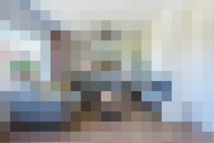 van Gerrevinkstraat 3 Wapenveld thumbnail 5
