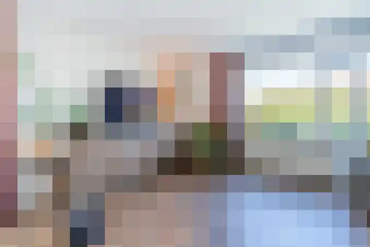 van Gerrevinkstraat 3 Wapenveld thumbnail 6