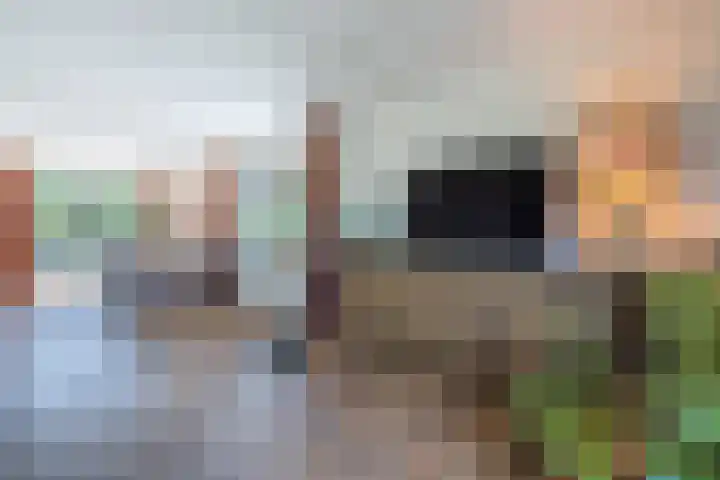van Gerrevinkstraat 3 Wapenveld thumbnail 7