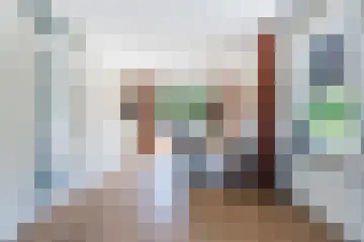 van Gerrevinkstraat 3 Wapenveld thumbnail 8