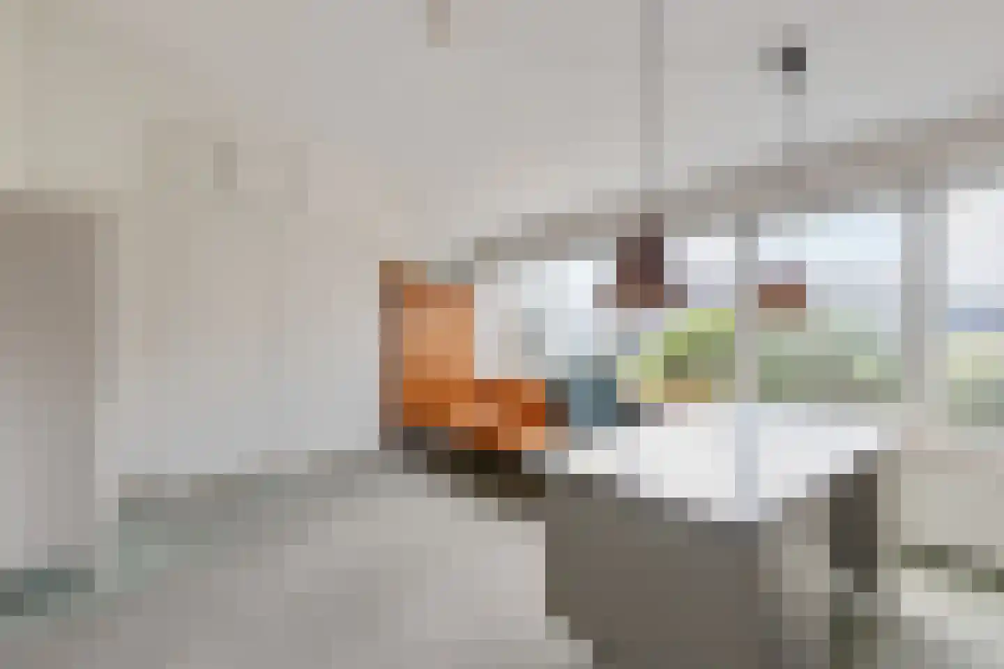 Van Ghentlaan 11 Hilversum thumbnail 19