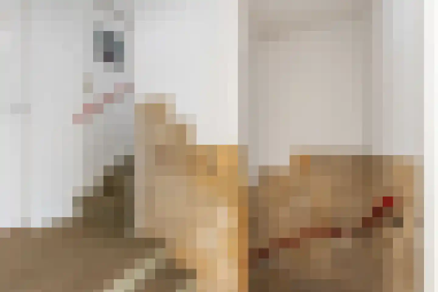 Van Ghentlaan 11 Hilversum thumbnail 25