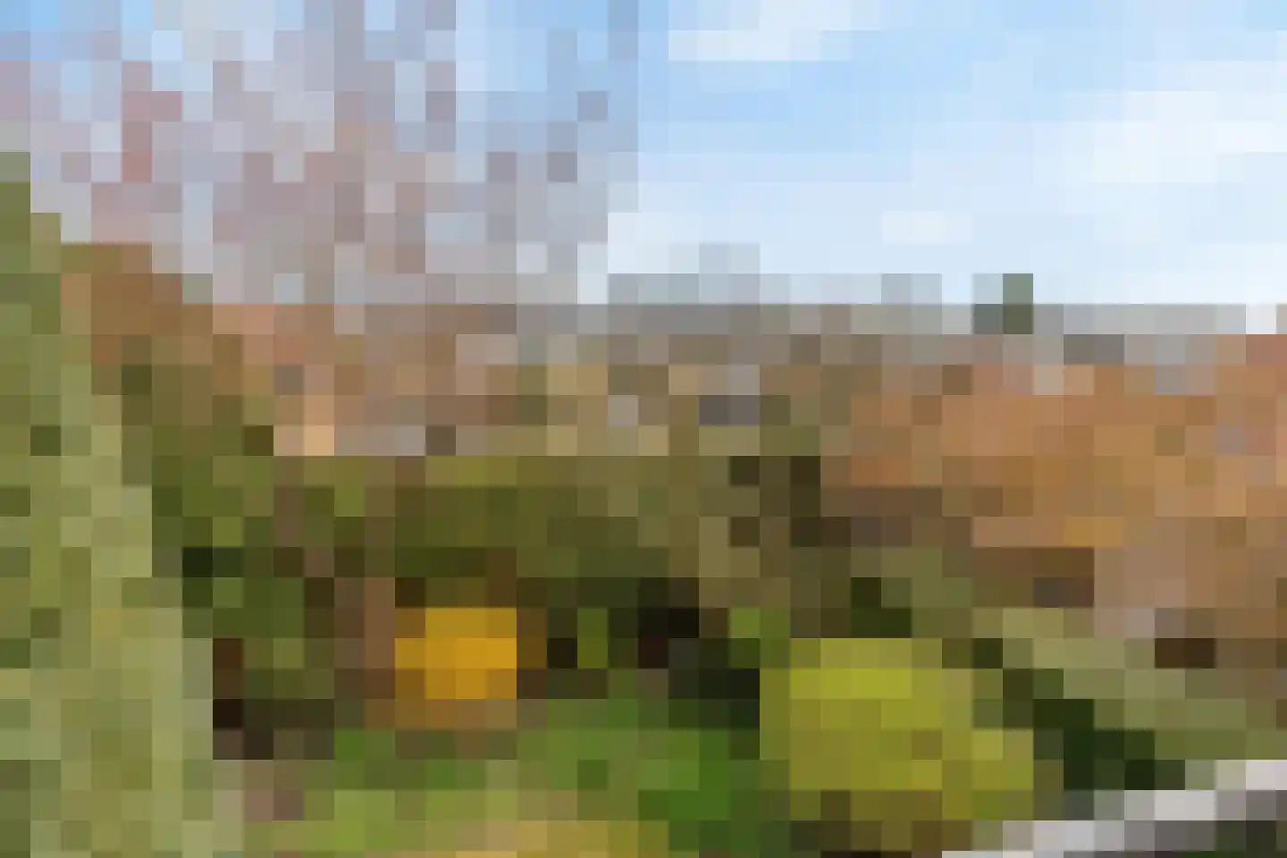 Van Ghentlaan 11 Hilversum thumbnail 29
