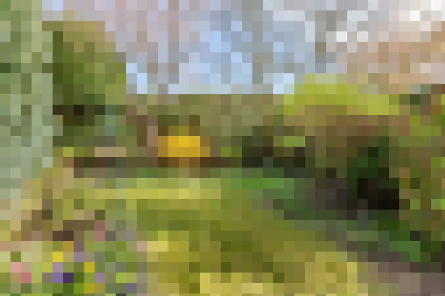 Van Ghentlaan 11 Hilversum thumbnail 44