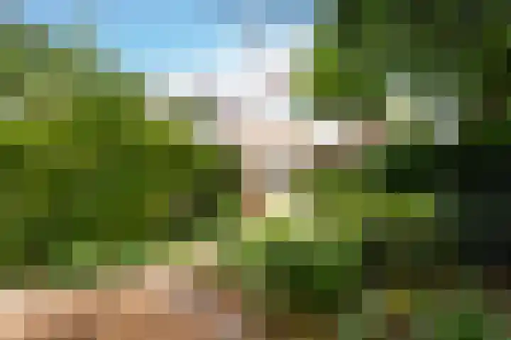 Van Ghentlaan 31 Hilversum thumbnail 24