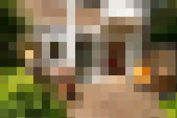 Van Ghentlaan 31 Hilversum thumbnail 25