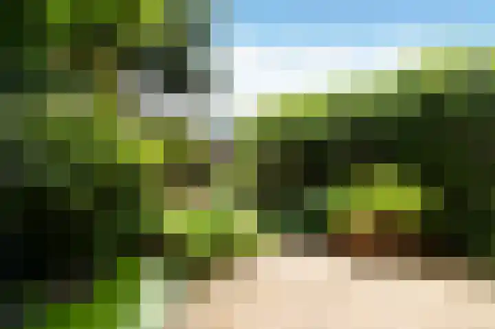 Van Ghentlaan 31 Hilversum thumbnail 4