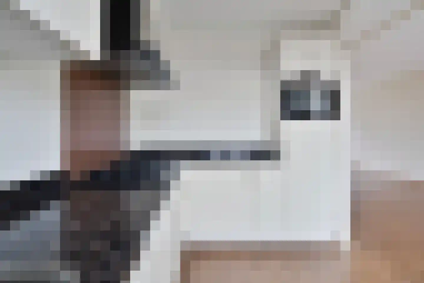 Van Ghentlaan 4 Barneveld thumbnail 15