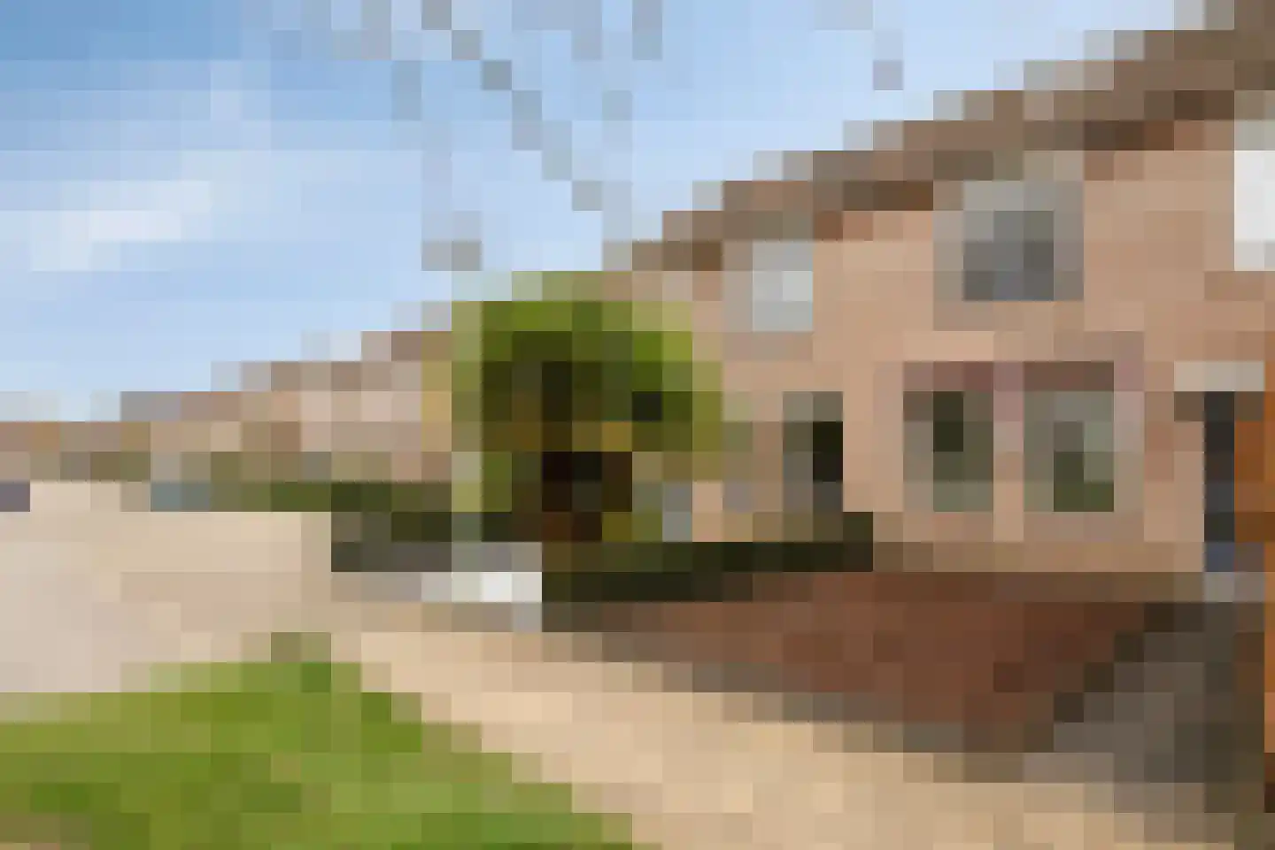 Van Ghentlaan 4 Barneveld thumbnail 8