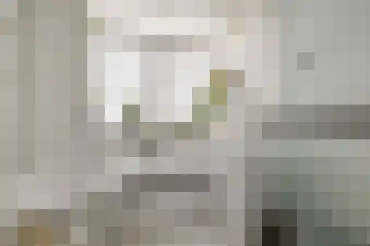 Van Ghentlaan 5 Hilversum thumbnail 19