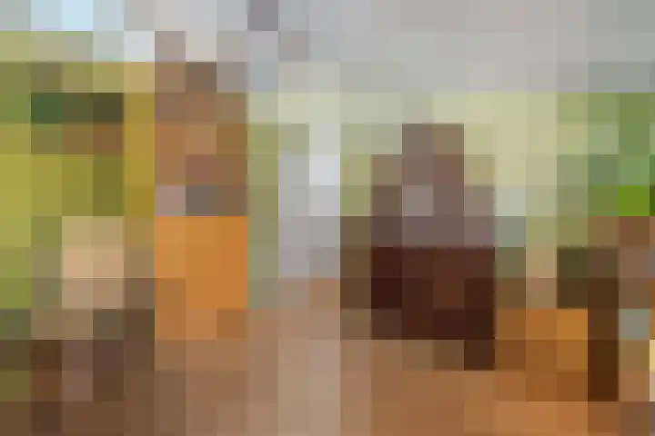 Van Ghentlaan 5 Hilversum thumbnail 21