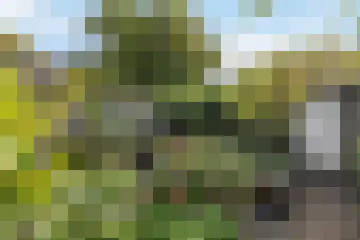Van Ghentlaan 5 Hilversum thumbnail 24
