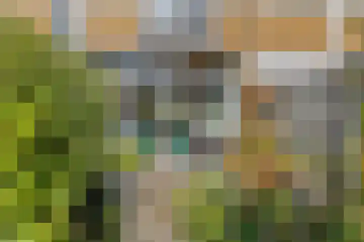 Van Ghentlaan 5 Hilversum thumbnail 25