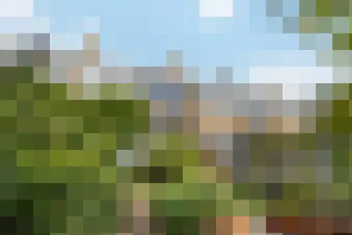 Van Ghentlaan 5 Hilversum thumbnail 26