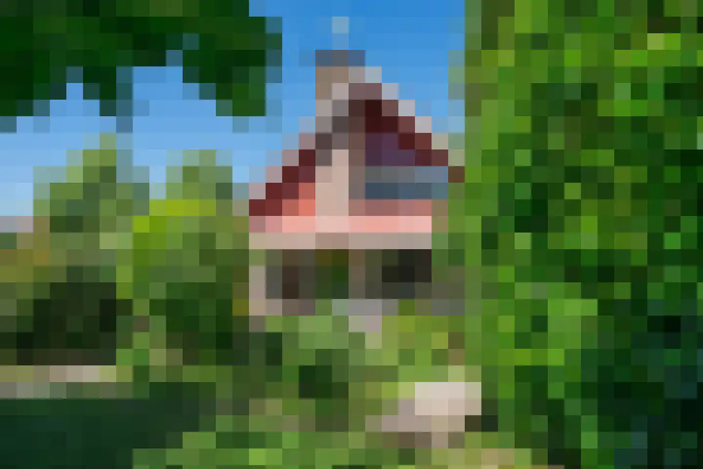 van Ghentstraat 1 Oud-Beijerland thumbnail 18