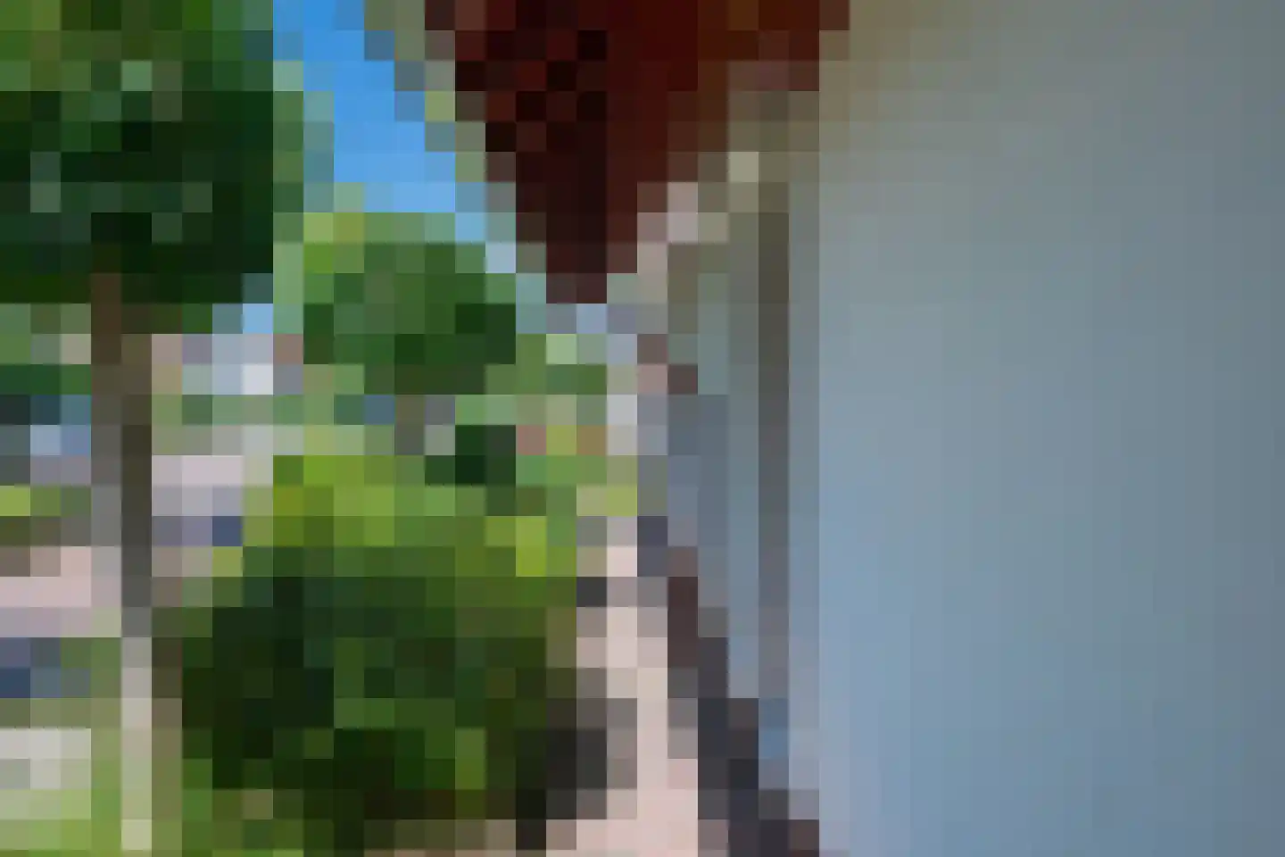 van Ghentstraat 1 Oud-Beijerland thumbnail 20