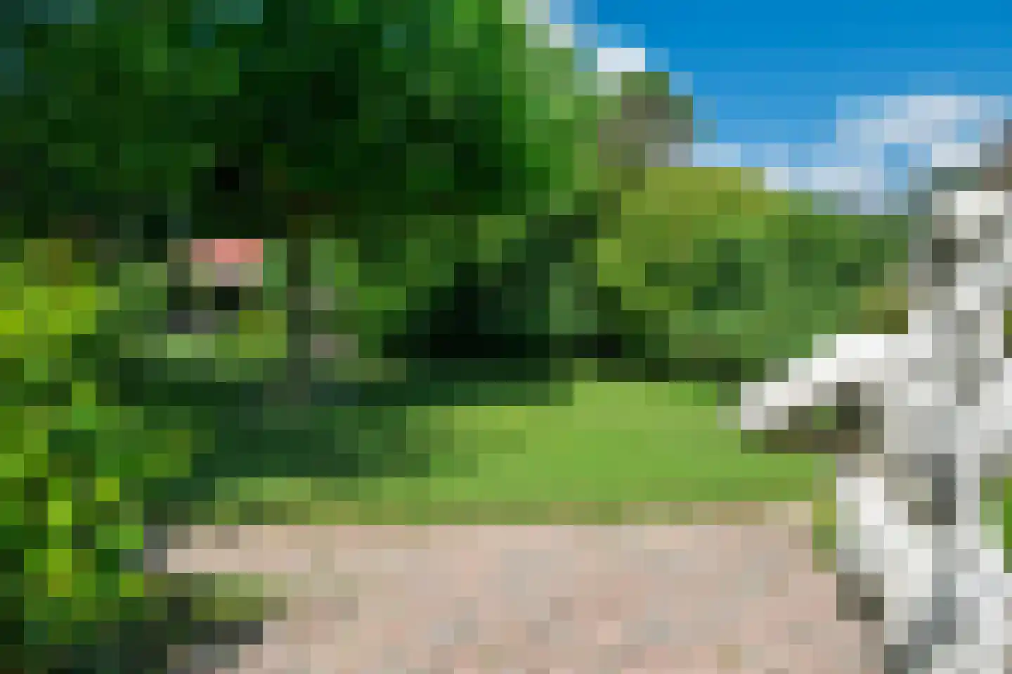 van Ghentstraat 1 Oud-Beijerland thumbnail 23