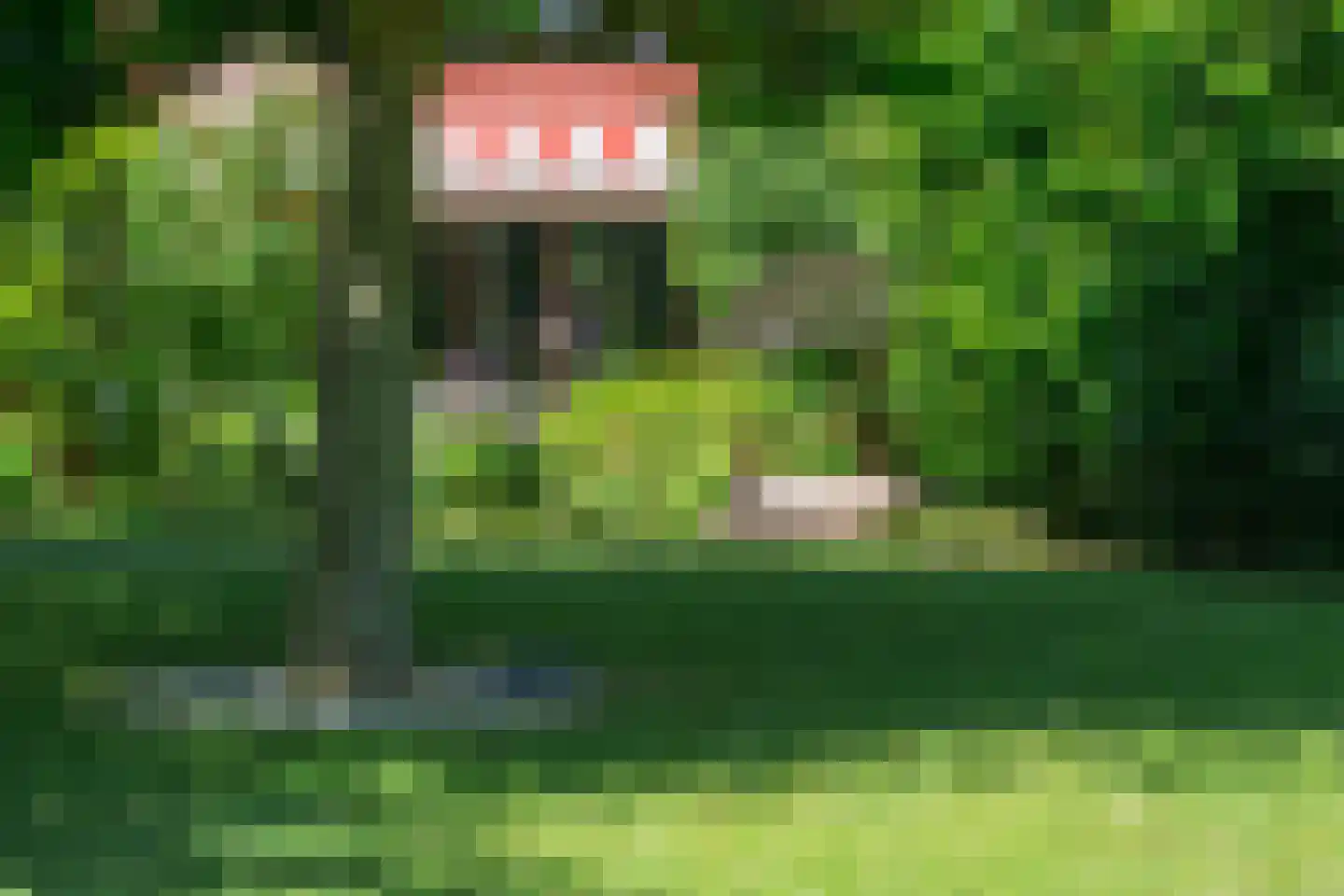 van Ghentstraat 1 Oud-Beijerland thumbnail 25