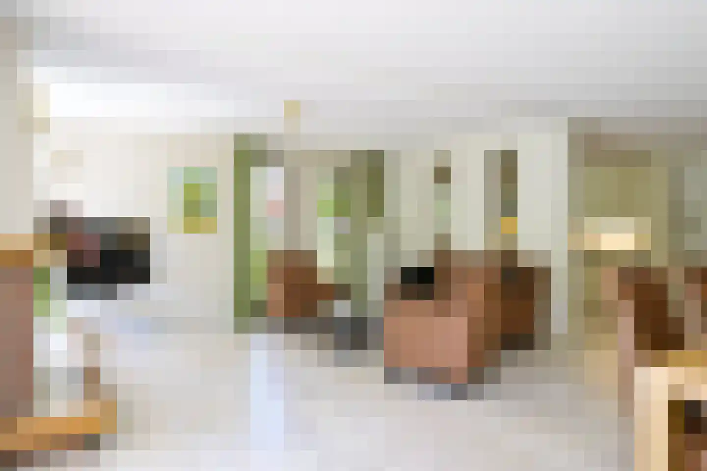 van Ghentstraat 1 Oud-Beijerland thumbnail 4