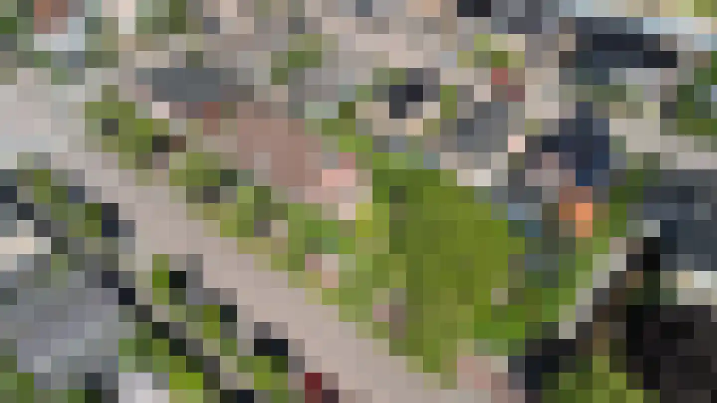 van Ghentstraat 1 Oud-Beijerland thumbnail 56