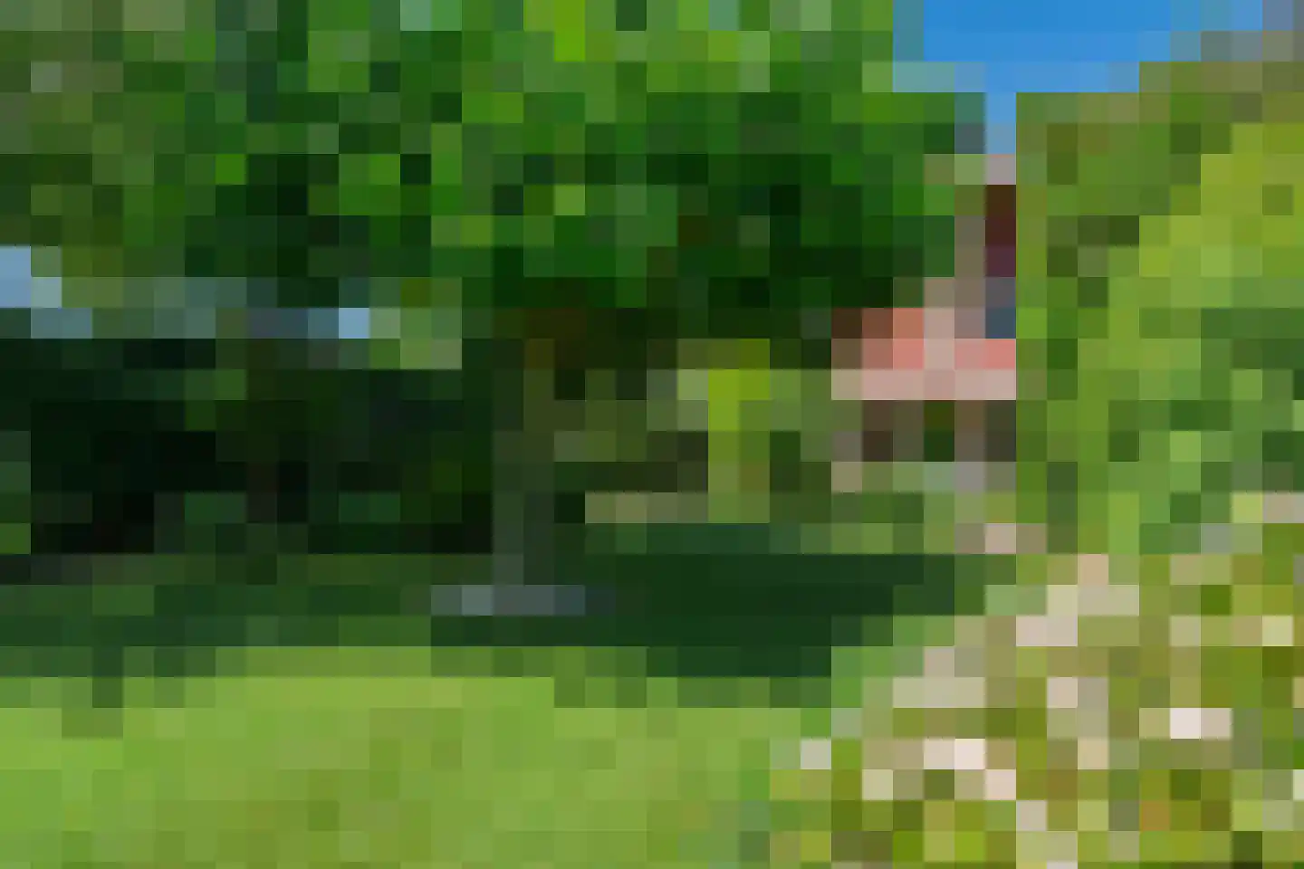 van Ghentstraat 1 Oud-Beijerland thumbnail 6