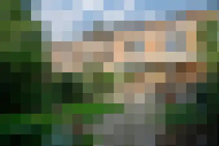 Van Ghentstraat 6 Arnhem thumbnail 43