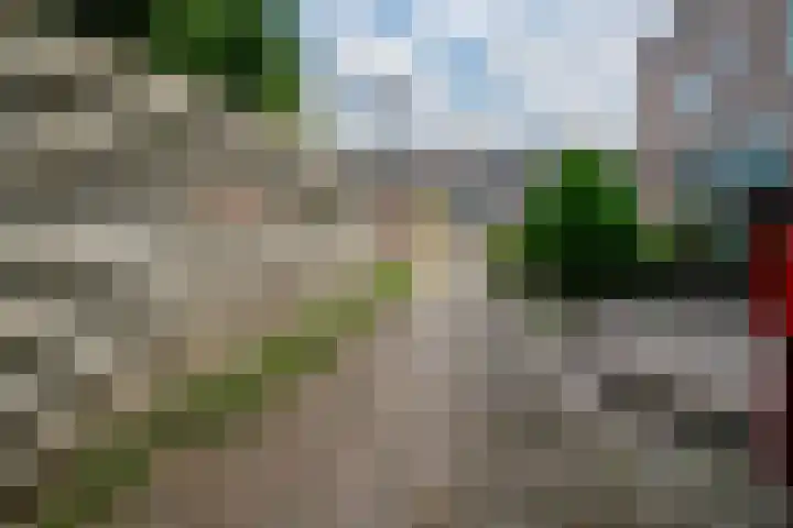 Van Ghentstraat 6 Arnhem thumbnail 7