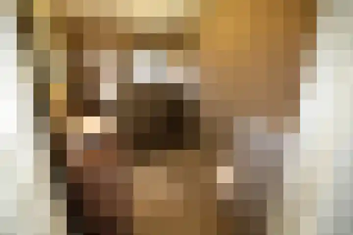van Ghernaerstraat 5 Ootmarsum thumbnail 18