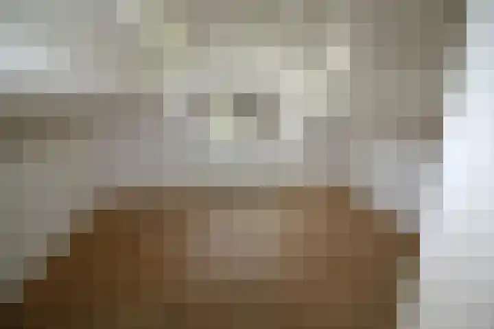 van Ghernaerstraat 5 Ootmarsum thumbnail 22