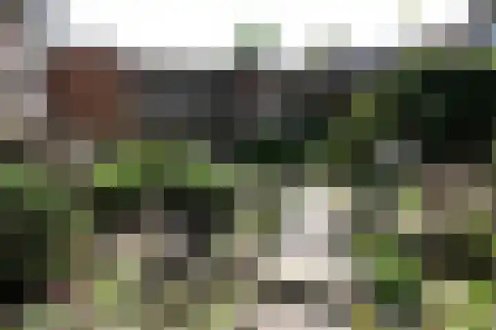 van Ghernaerstraat 5 Ootmarsum thumbnail 25